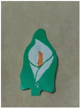 Republican Easter lily